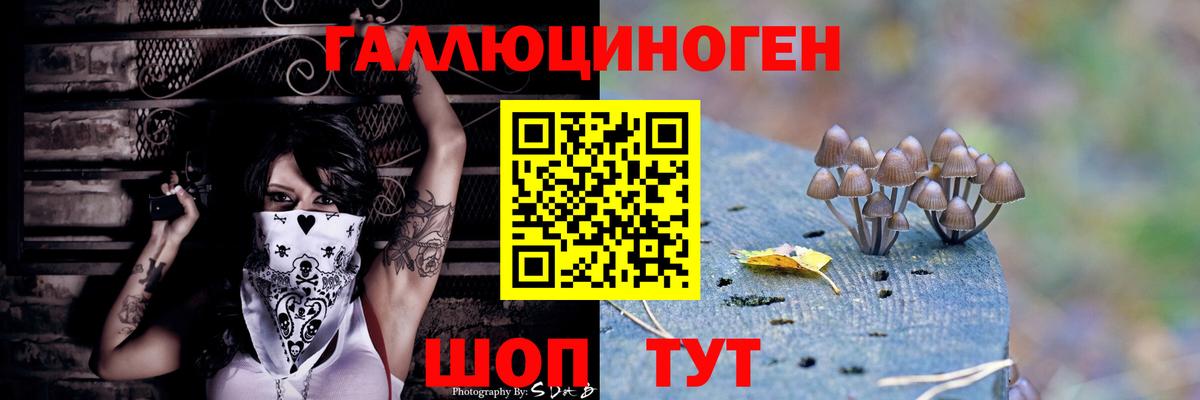 Галлюциногенные грибы мицелий Электросталь